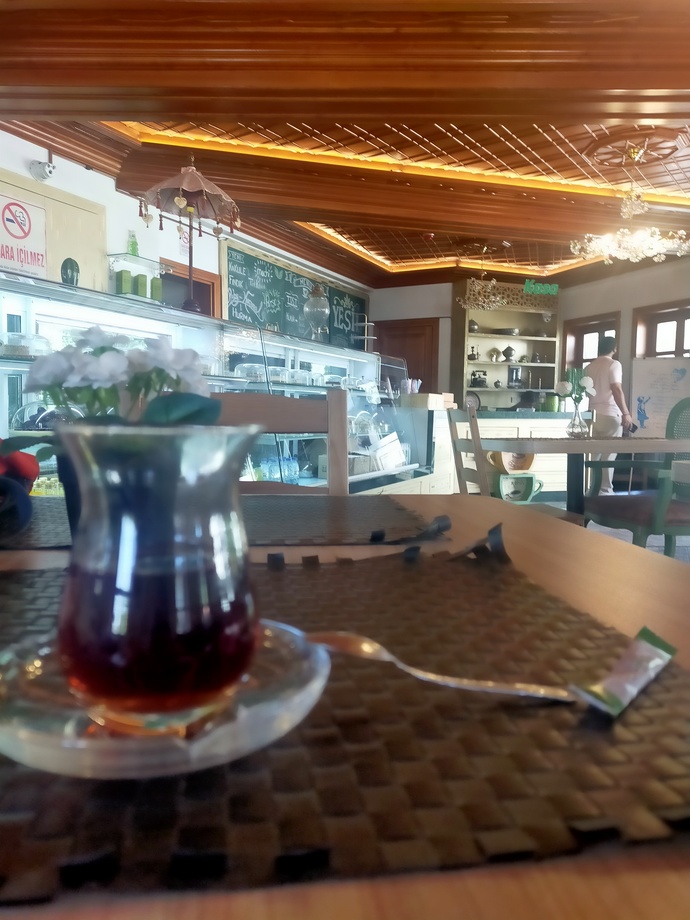 Birisi ile yemek yiyecek olsan bu kişi kim olurdu ?