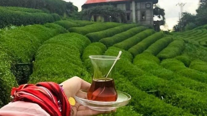 Karadeniz denince akla ilk hangi il geliyor?