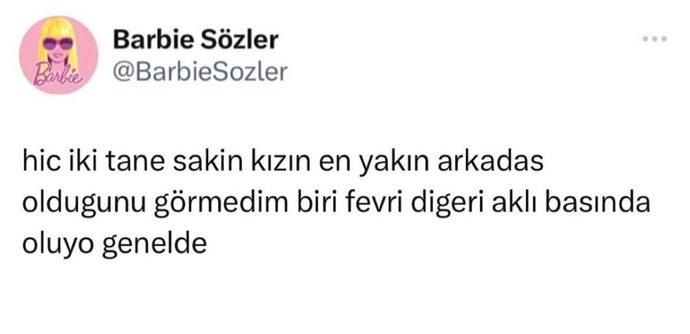En yakın arkadaşların zıt karakterlerde olduğu fikrine katılıyor musunuz?