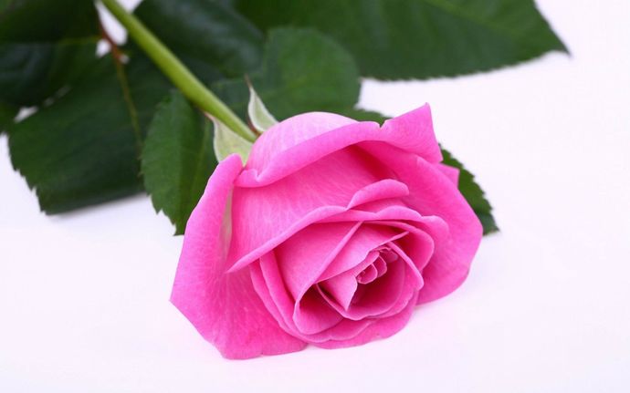 Romantik misiniz, romantikliğin sizce tanımı nedir 🥰?