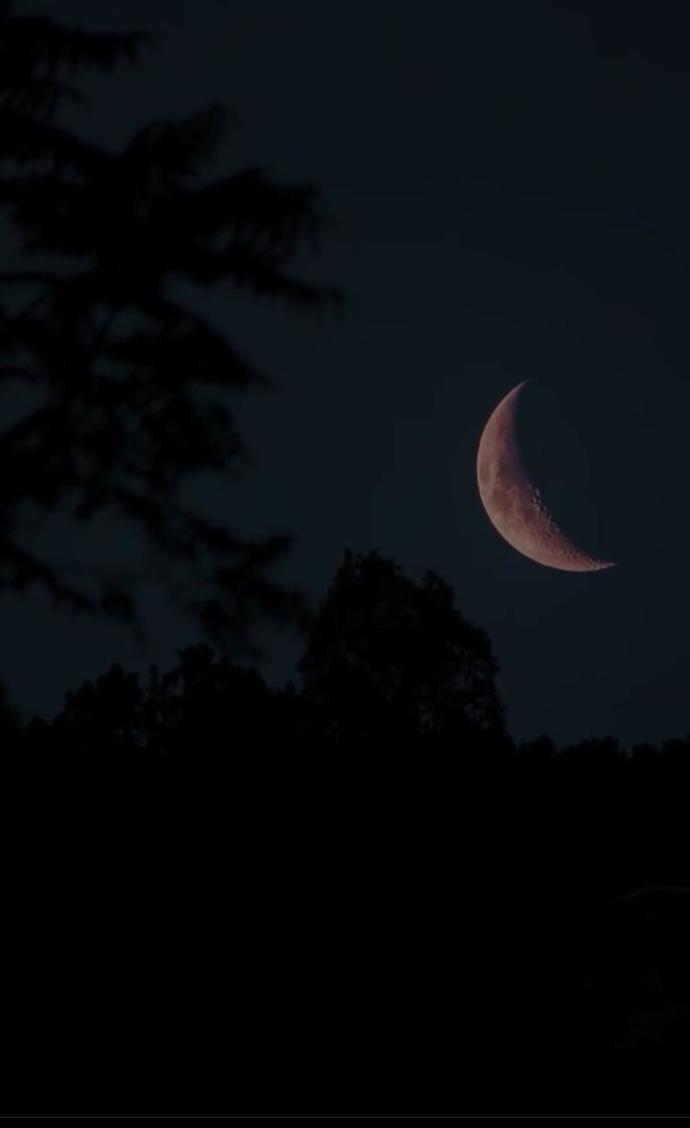 Gece midir insanı hüzünlendiren yoksa insan mıdır hüzünlenmek için geceyi bekleyen?