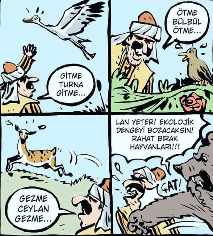 Şarkılarda neden ekolojik dengeyi bozan sözler var?