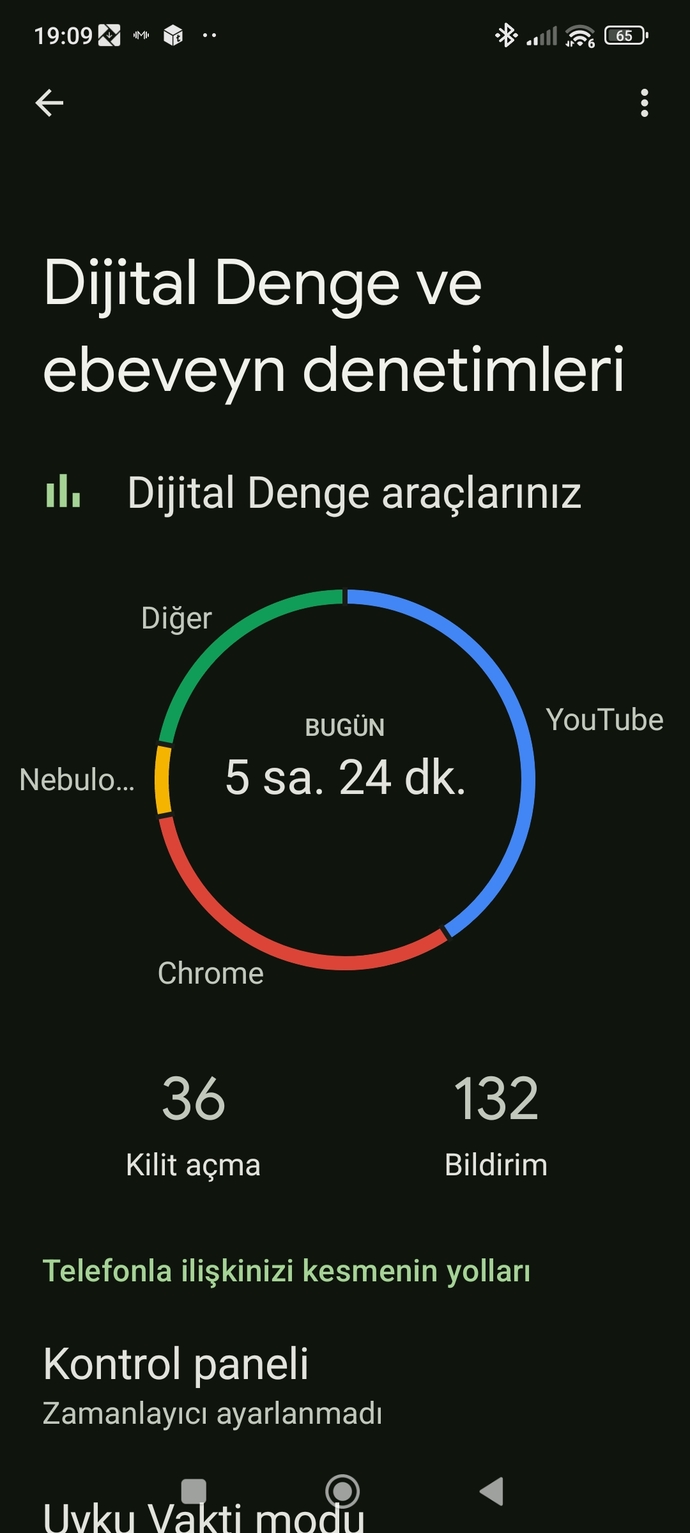 Telefona gün içinde fazla bakmış mıyım?