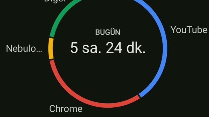 Telefona gün içinde fazla bakmış mıyım?