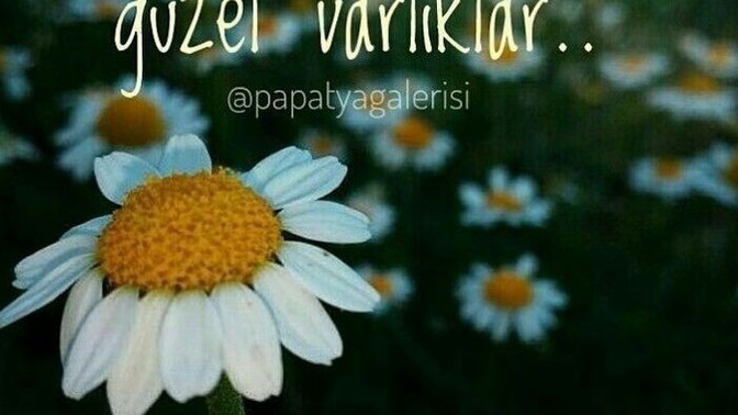 Sizde bazen " Hayat ne garip" diyor musunuz iç çekerek?