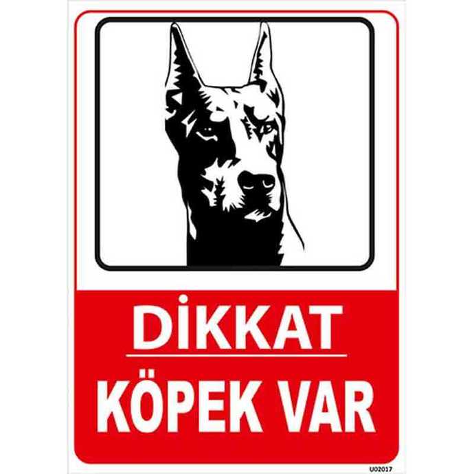 Şöyle bir şey