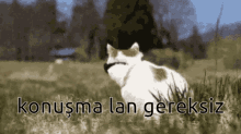 Aşk/sevgi kavramı size ne kadar yakın?