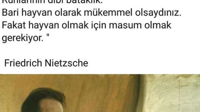 Filozofların sözlerini okumayı seviyor musunuz?