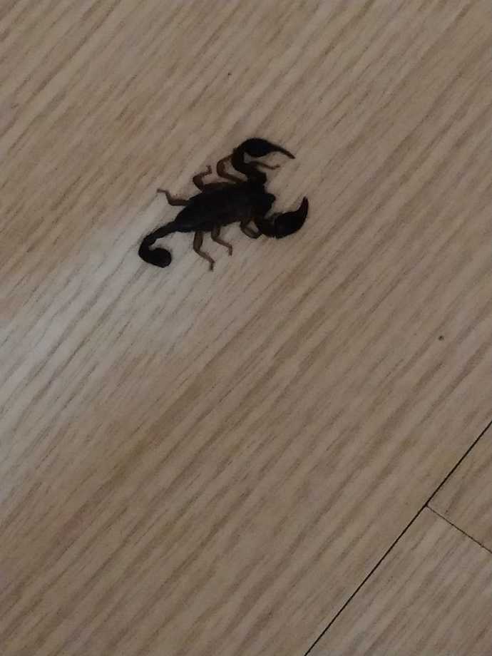 Bu arkadaşı tanıyan var mı?