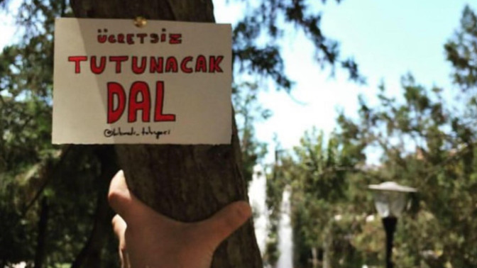 Hiç ağaç (fidanı) diktiniz mi?