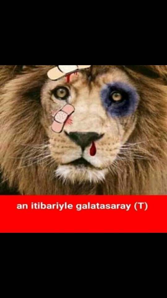 Arkadaşlar Bayern Münih Cimboma Tarihi Fark Atarmı?