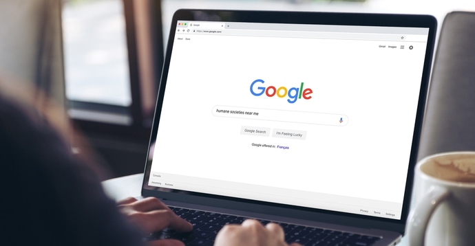 Googlea erişim sağlamakta zorlanıyorum engel mi var?