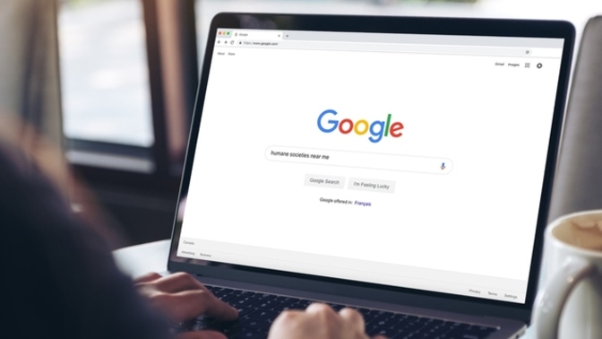 Google'a erişim sağlamakta zorlanıyorum engel mi var?