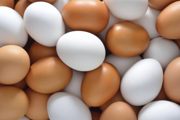 Tava yumurta mı, Haşlanmış yumurta mı, Omlet mi?