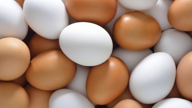 Tava yumurta mı, Haşlanmış yumurta mı, Omlet mi?