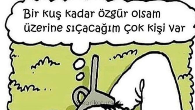 Sabır sınırınızı zorlayan şeyler neler? Nelere/ kimlere daha çok sabretmeye çalışırısınız?