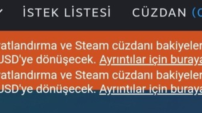 Türkiye'de steam artık USD olacak ne düşünüyorsunuz?