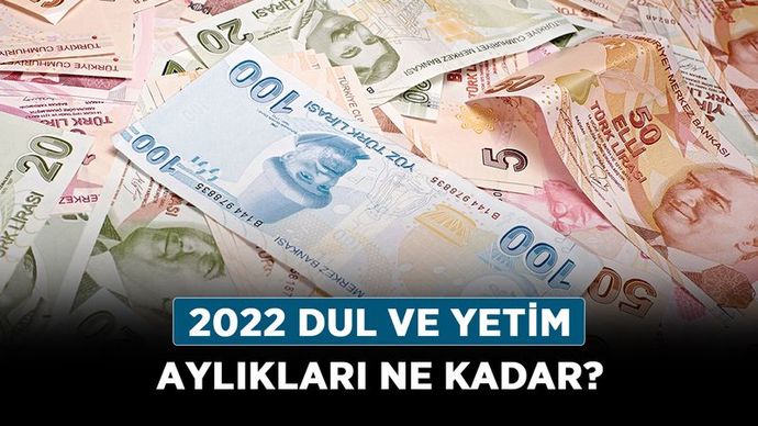 4250 TL dul maaşıyla ne yapılır?