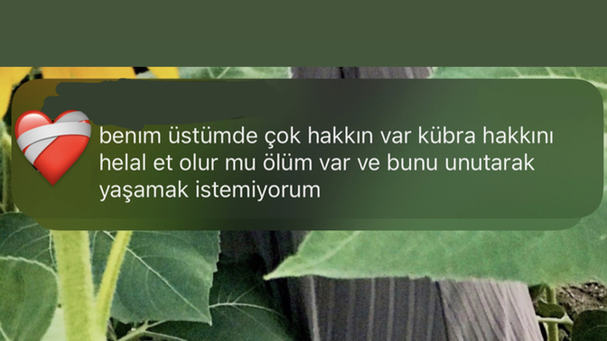 Beni terk eden flörtüm günler sonra helallik için mesaj atmış, sizce ne yapayım?