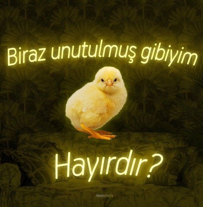 Sana yazmayana sen yazar mısın?