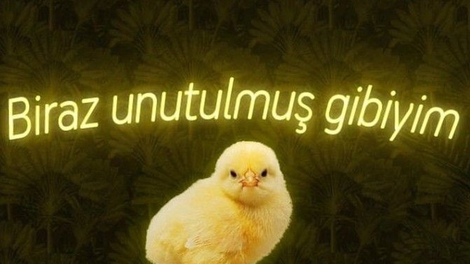 Sana yazmayana sen yazar mısın?