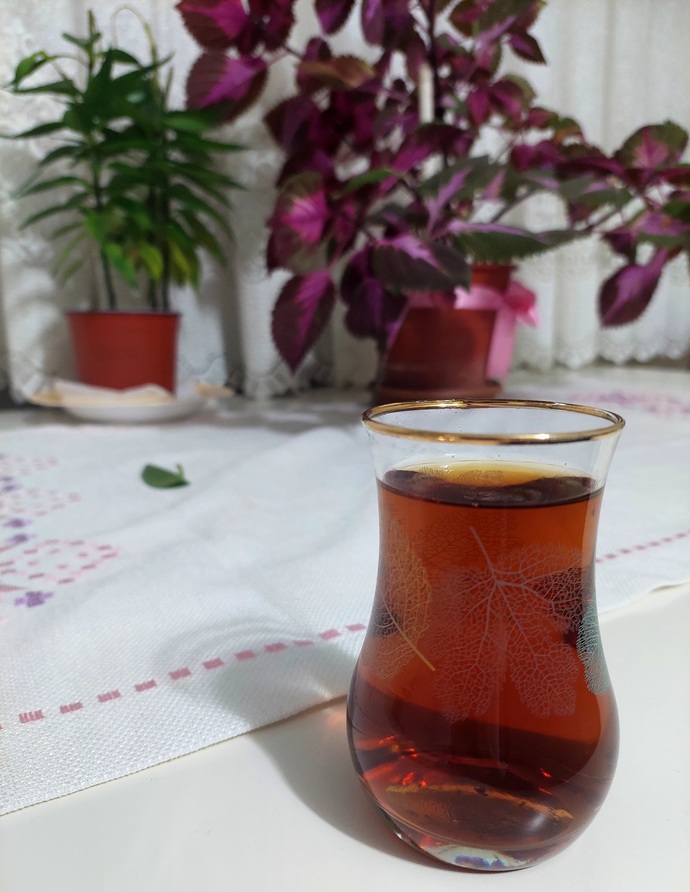 Sizinle en güzel ne yapılır?