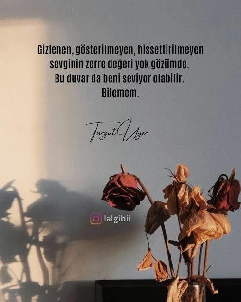 Gösterilmeyen hissettirilmeyen sevgi sevgimidir?