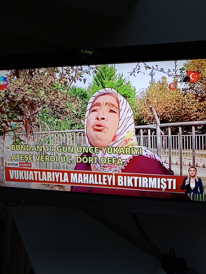 Ömrünü bir erkeğe adayan kadınlar saf değil mi?
