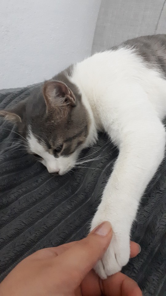 Akşamınız nasıl devam ediyor ?