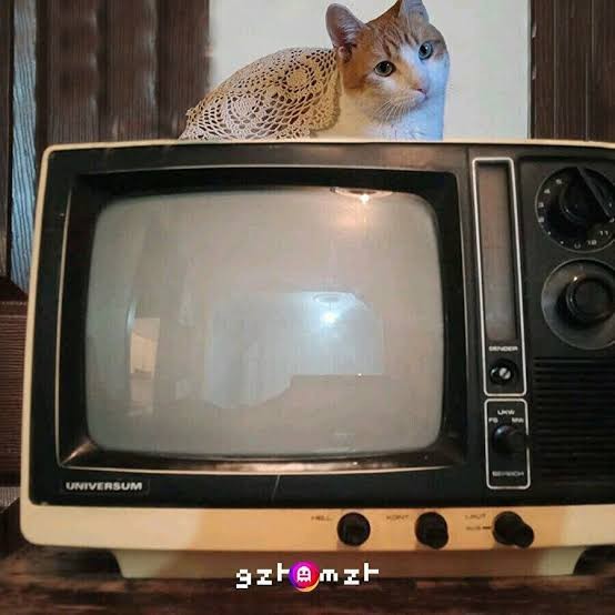 Neredeyse hiç kalmayan tüplü tvlere denk gelip neler izlediniz?