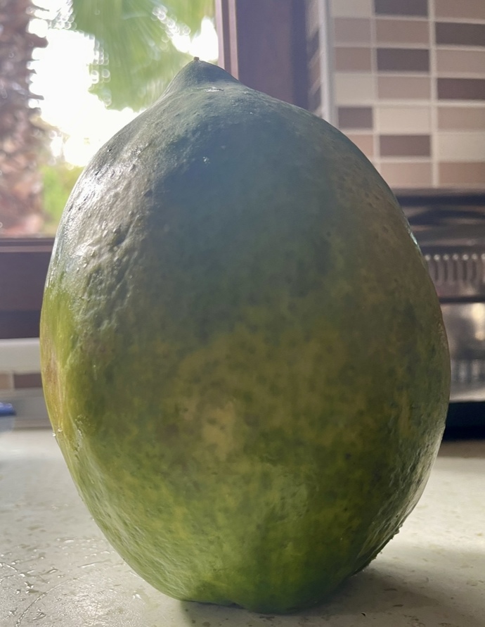 Papaya meyvesini denedin mi? Tropikal 🏝️ meyveleri sever misin?