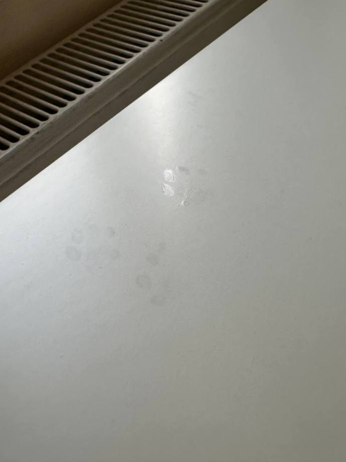 Suçlunun ayak izlerini buldum! Sizce tehlikeli bir düşmanla mı karşı karşıyayım?