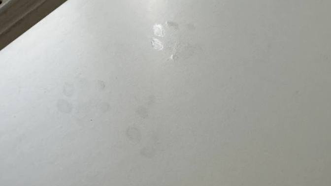Suçlunun ayak izlerini buldum! Sizce tehlikeli bir düşmanla mı karşı karşıyayım?