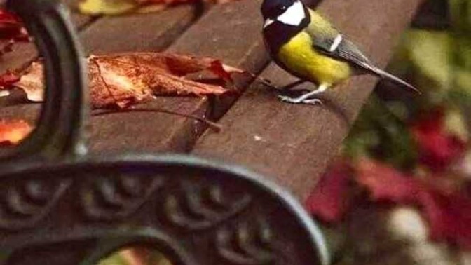 İçinizde sebepsiz bir hüzün veya sebepsiz bir sevinç varken, kendinizle nasıl, neler yaparak başedersiniz?