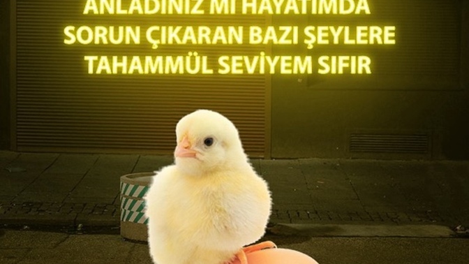Hayatınızdaki sorunlara tahammül seviyeniz nedir?