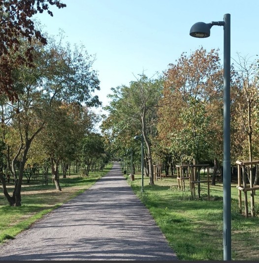 Sizin huzur durağınız neresi?