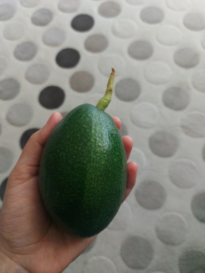 Memleketinizden gelen paketlerde genelde ne olur?