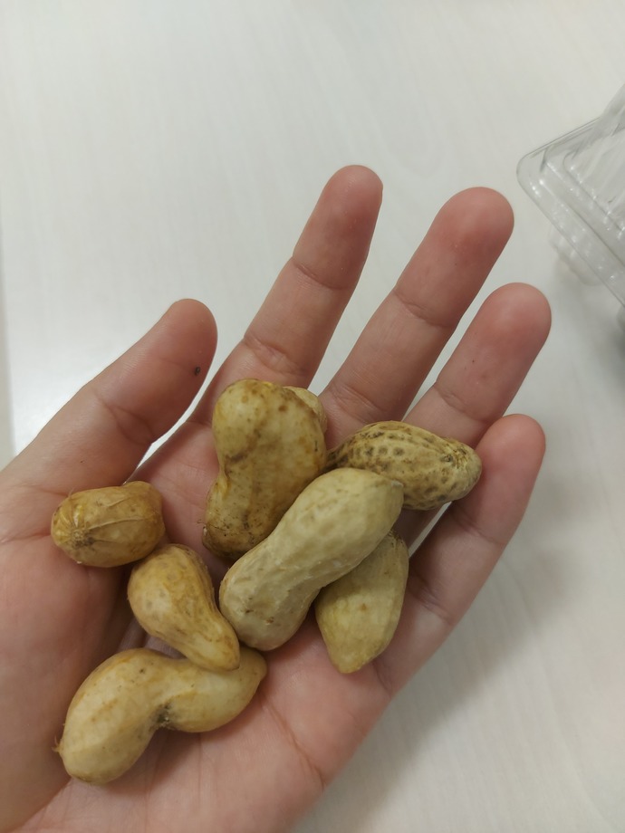 Memleketinizden gelen paketlerde genelde ne olur?
