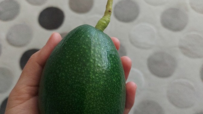 Memleketinizden gelen paketlerde genelde ne olur?