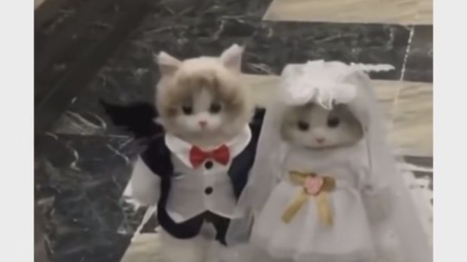 Seninle şöyle olabilirdik diyebileceğiniz birisi oldu mu?