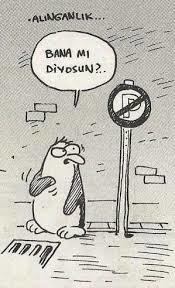 Alıngan erkekler hakkında ne düşünüyorsunuz?