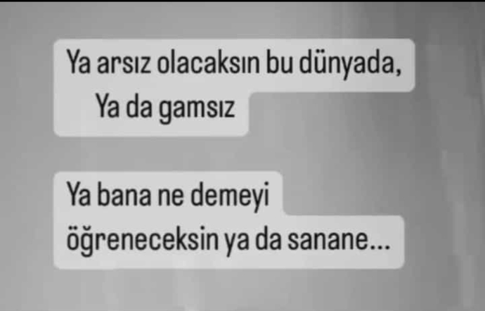 Siz gamsız mısınız arsız mı?