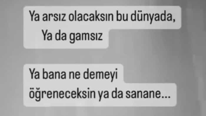 Siz gamsız mısınız arsız mı?