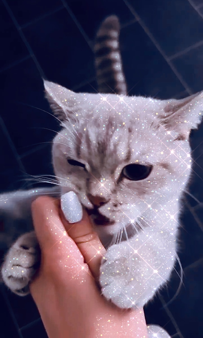 Grrr.. 😻🩵
