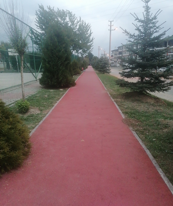 Walk walk walk😄