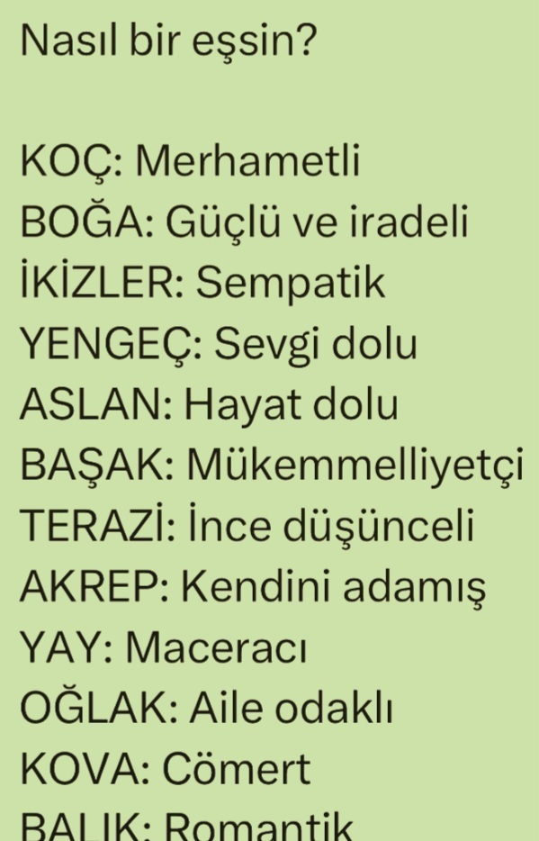 Burcuna göre nasıl bir eşsin?