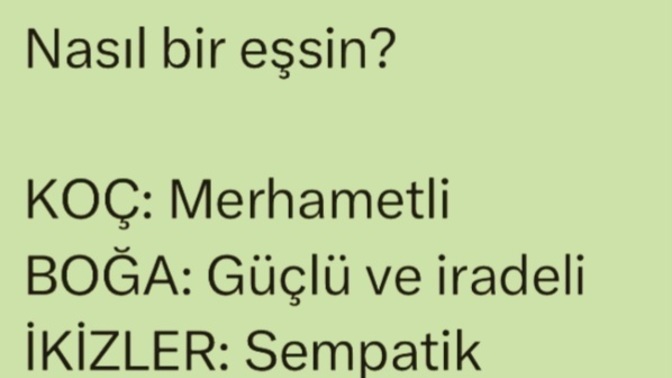 Burcuna göre nasıl bir eşsin?