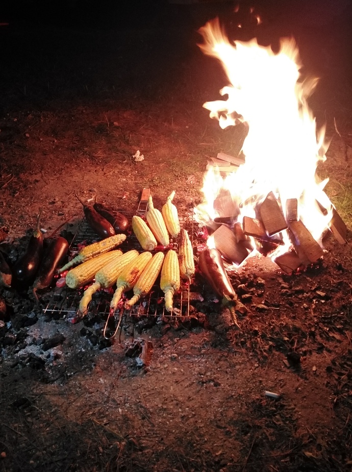 Közde mısır sever misiniz?