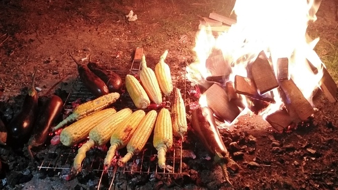 Közde mısır sever misiniz?