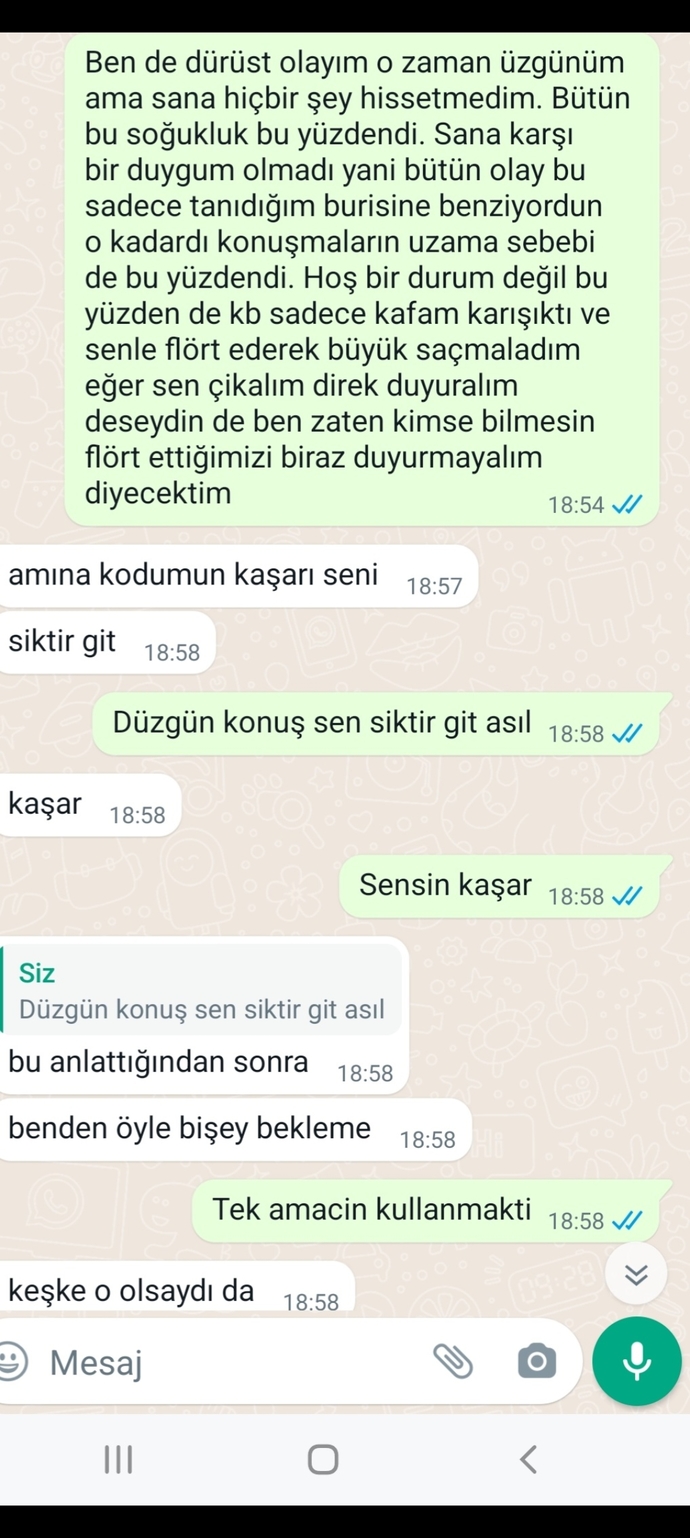 Sizce gerçekten sevdi mi fazla mı ağır konuşmuşum? Pişmanım?